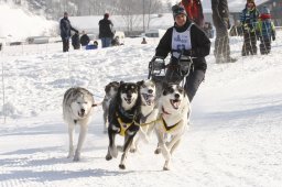 Lenk 2012 SM